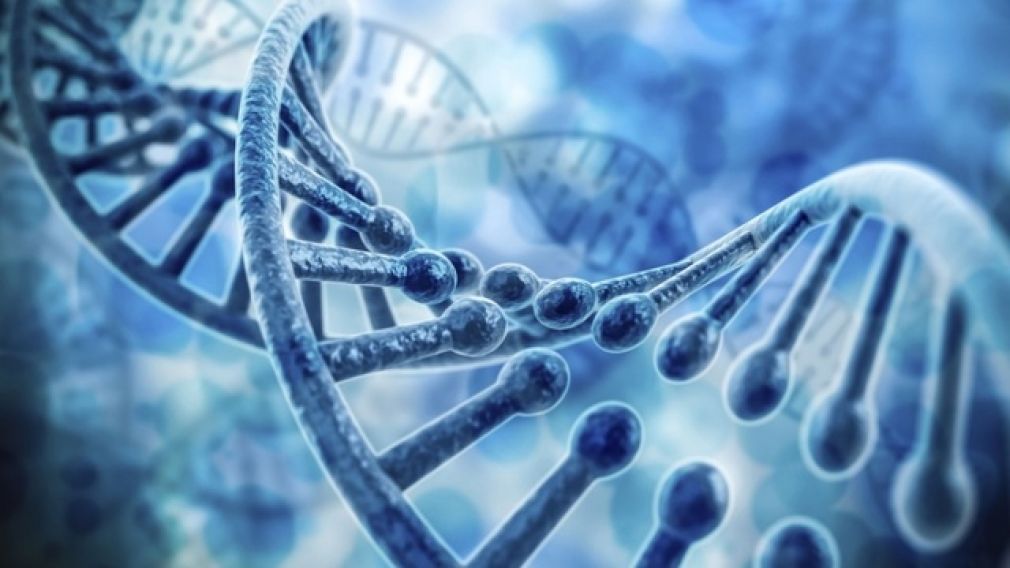 【瑾心老師專欄】：有史以來規模最大的自閉症基因組研究發現&mdash;