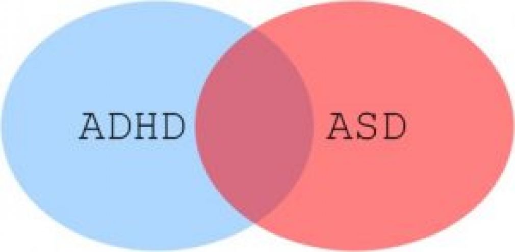 【瑾心老師專欄】：注意力缺陷多動症 (ADHD)的症狀可能拖延自閉症的診斷