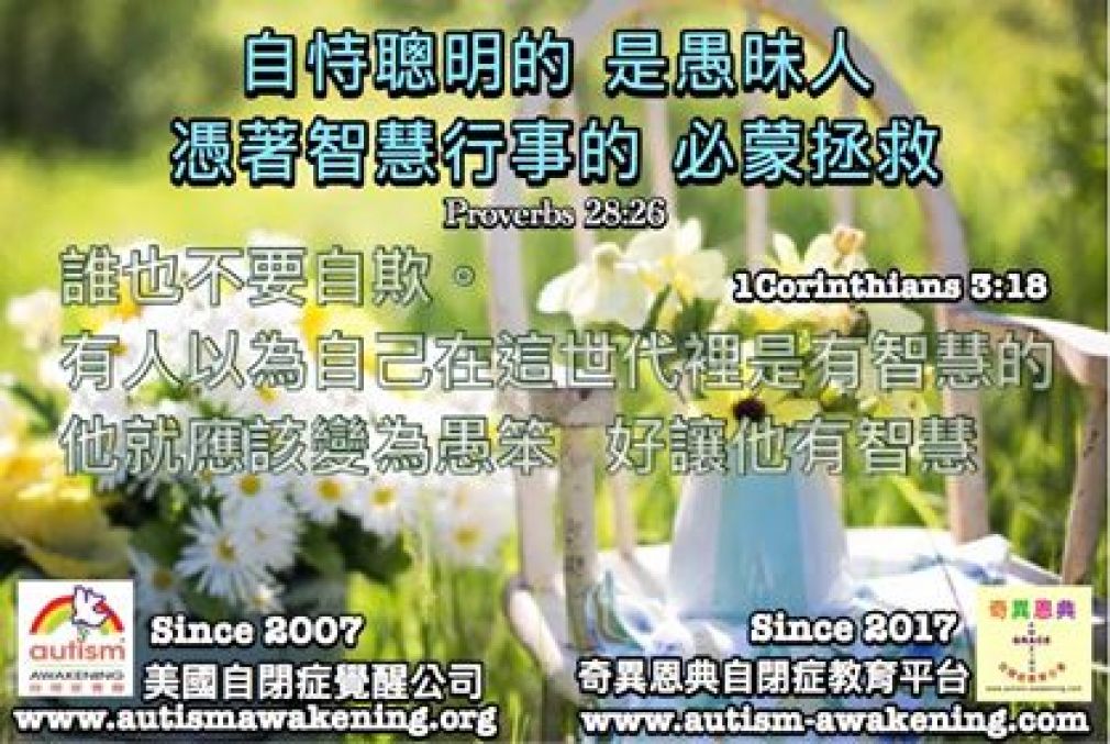 【瑾心老師自閉症行為介入實操心得(八)】：「15年自閉症的自省與思痛!」