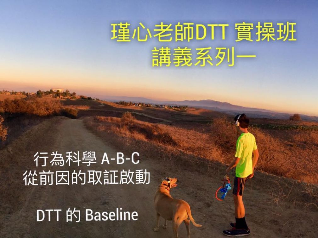 瑾心老師：遇到掠食的飢渴，實踐！ 遇到餵食的嬌橫，無力！