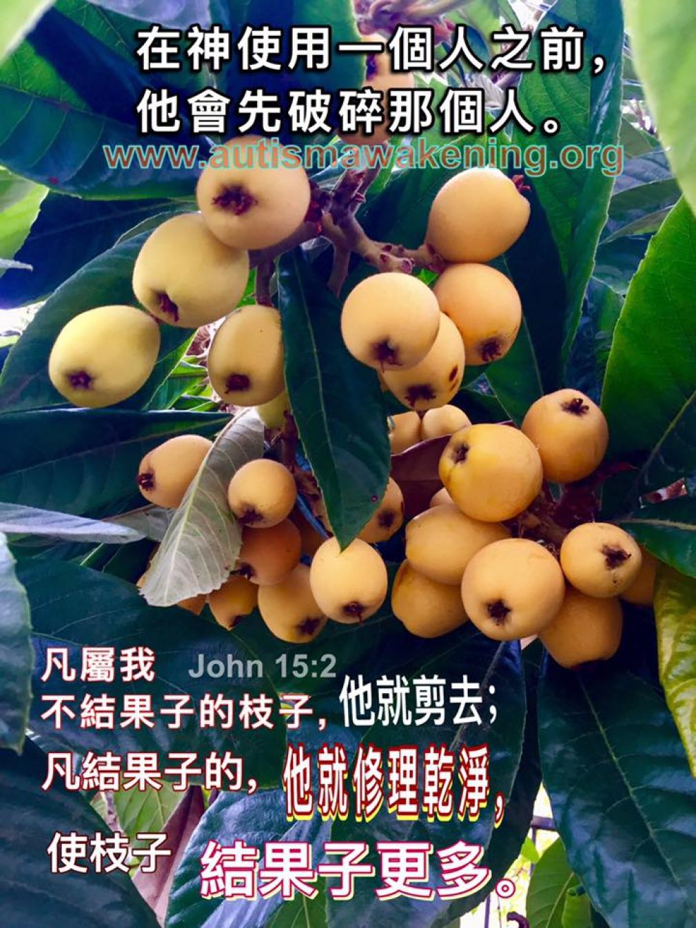 【瑾心老師專欄】：請聽我說，自閉症世界的基督徒阿!